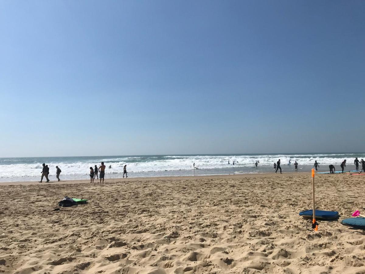 Cosy T2 Front De Mer Piscine Parking Terrasse 拉卡诺 外观 照片
